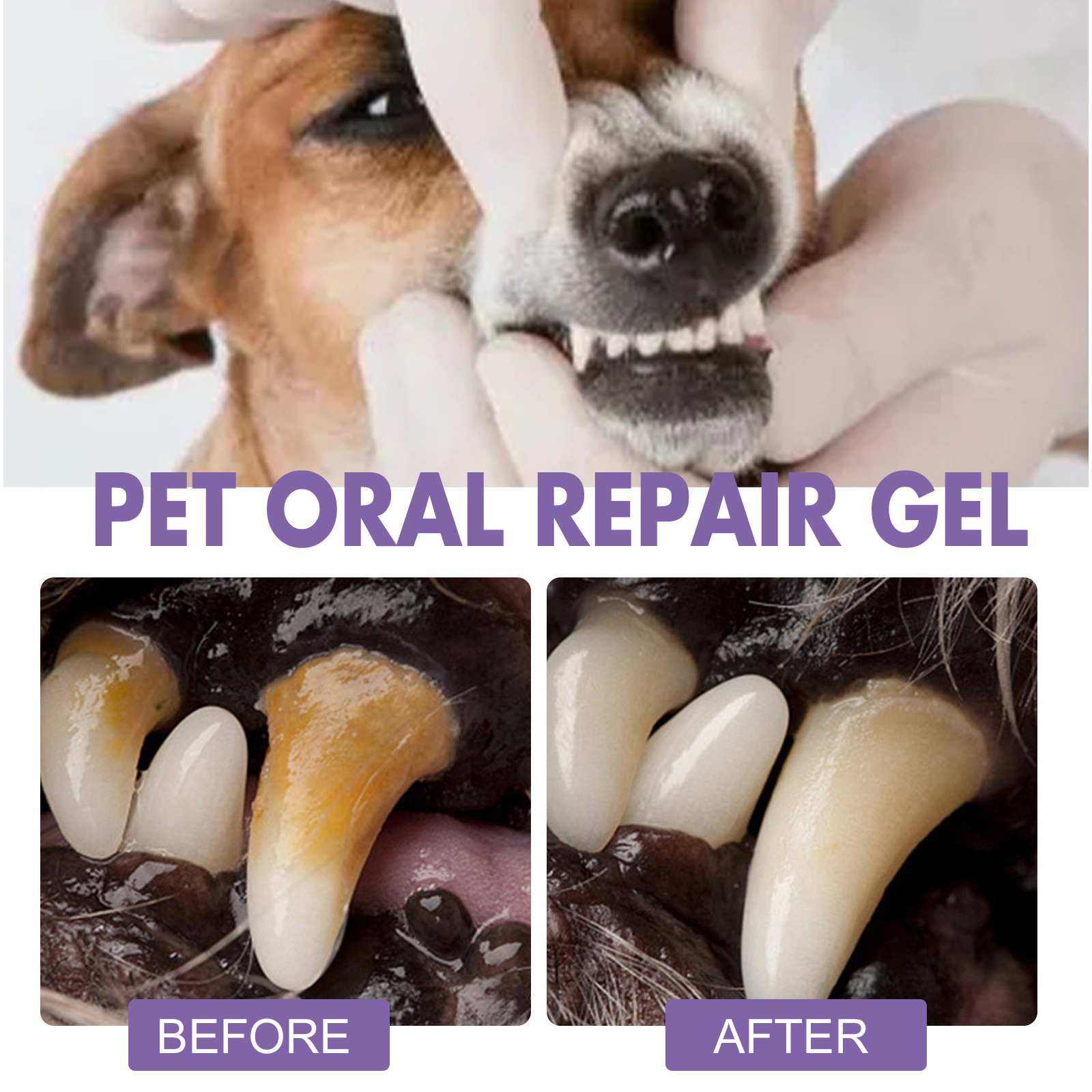 Pet Oral Repair Gel Puppy Tart – обзор и цена Teeth Whitening Gels Used By Dentists
