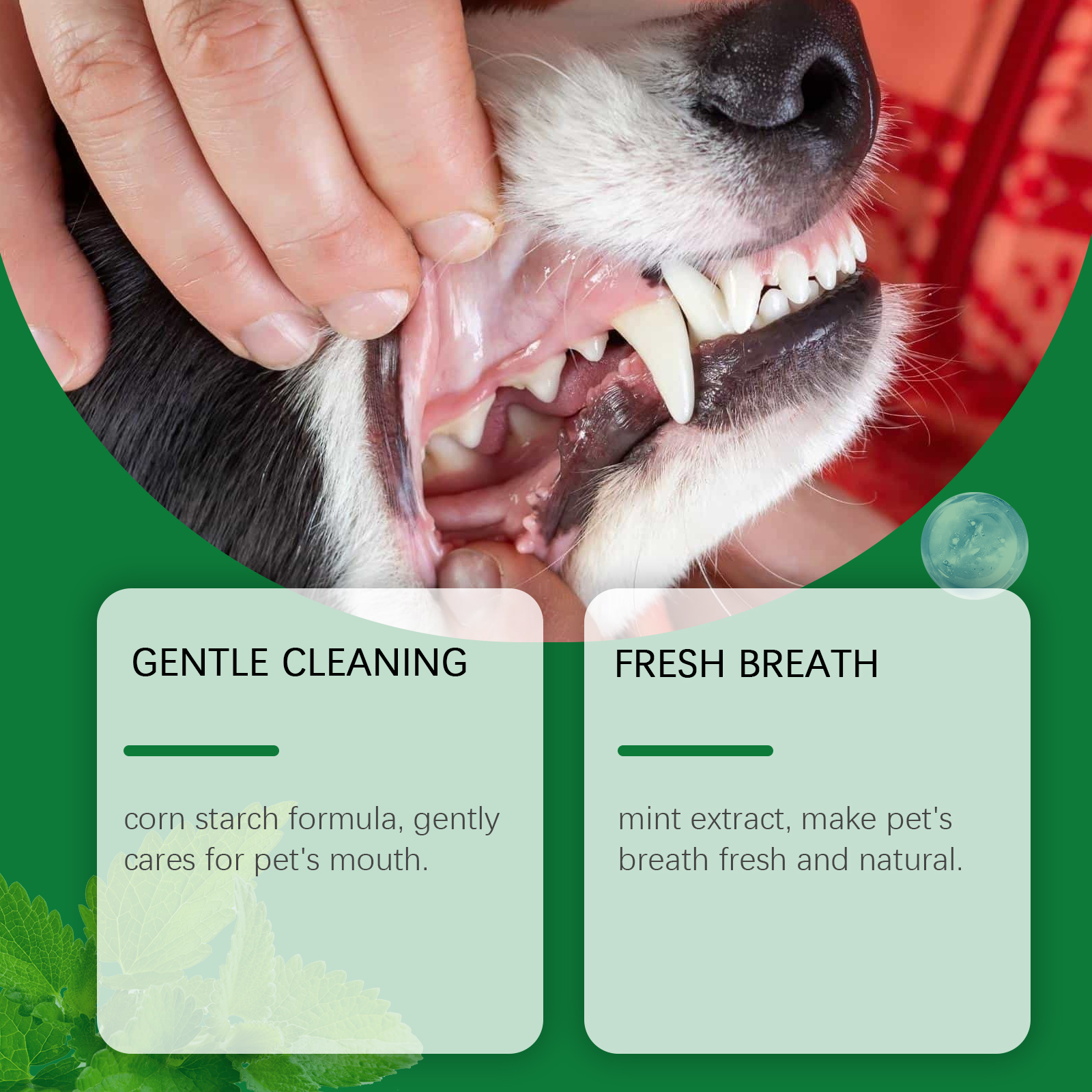 Pet Teeth Cleaning Powder Redu – обзор и цена Teeth Whitening China