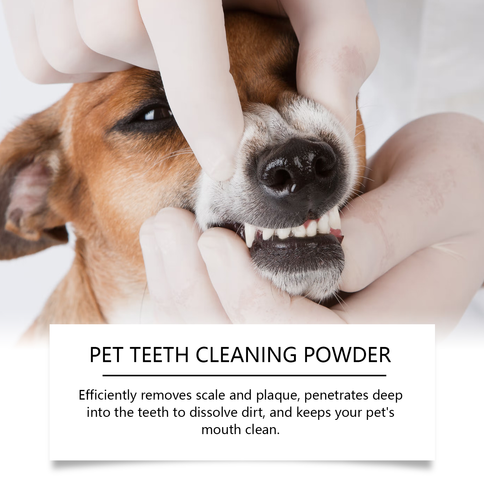 Pet Teeth Cleaning Powder Redu – обзор и цена Teeth Whitening China