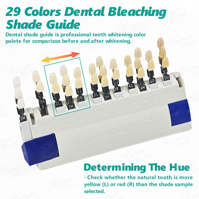 Vita 3D Master Dental Lab Blea – обзор и цена Teeth Whitening (Bleaching)